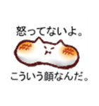 もちねこの日常スタンプ（個別スタンプ：1）