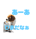 ハルのキモチ（個別スタンプ：4）