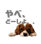 ハルのキモチ（個別スタンプ：5）