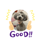 犬のん（個別スタンプ：2）