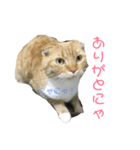 みるちょまスタンプ（個別スタンプ：7）