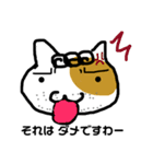 ごまひげ にゃんこ（個別スタンプ：11）