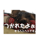 ろーずちゃんスタンプ2（個別スタンプ：8）