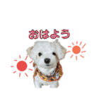 美幸chan（日常編）（個別スタンプ：1）