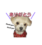美幸chan（日常編）（個別スタンプ：5）