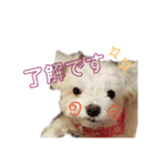 美幸chan（日常編）（個別スタンプ：6）