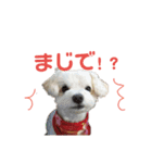 美幸chan（日常編）（個別スタンプ：7）
