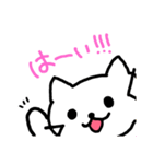 シロと茶太郎のスタンプ（個別スタンプ：8）