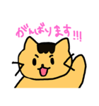 シロと茶太郎のスタンプ（個別スタンプ：13）