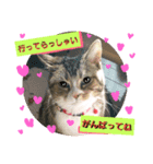 桃日々の声掛け（個別スタンプ：2）