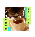 桃日々の声掛け（個別スタンプ：7）