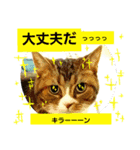 桃日々の大切な言葉（個別スタンプ：2）