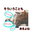 桃日々の大切な言葉（個別スタンプ：4）