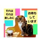 桃日々の大切な言葉（個別スタンプ：5）