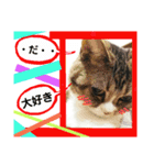 桃日々の大切な言葉（個別スタンプ：6）