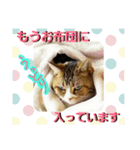 桃日々の大切な言葉（個別スタンプ：7）