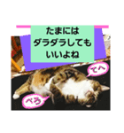 桃日々の大切な言葉（個別スタンプ：8）