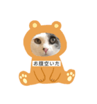 可愛い猫と可愛いハリネズミ（個別スタンプ：6）