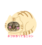 あらトトくん（個別スタンプ：8）