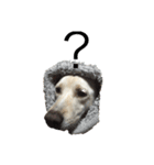 うちの犬 ！！！（個別スタンプ：1）