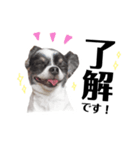 ❤︎ My Sweet Angel ❤︎（個別スタンプ：7）