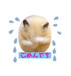 キンクマハムスターのハチ（個別スタンプ：7）