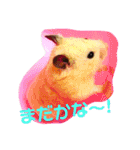 キンクマハムスターのハチ（個別スタンプ：9）