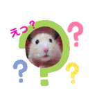 キンクマハムスターのハチ（個別スタンプ：10）
