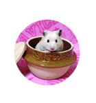 キンクマハムスターのハチ（個別スタンプ：18）