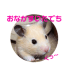 キンクマハムスターのハチ（個別スタンプ：28）