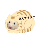 キンクマハムスターのハチ（個別スタンプ：34）