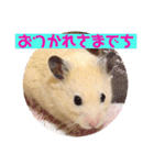 キンクマハムスターのハチ（個別スタンプ：35）
