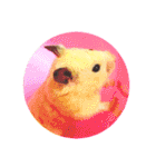 キンクマハムスターのハチ（個別スタンプ：37）