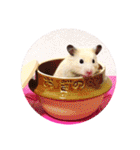キンクマハムスターのハチ（個別スタンプ：39）