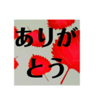 野菜畑（個別スタンプ：12）