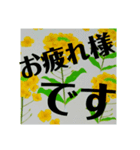 野菜畑（個別スタンプ：16）