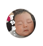 はるのすけすたんぷ（個別スタンプ：5）