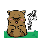 日本語喋るウォンバットちゃん！パート2（個別スタンプ：11）