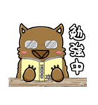 日本語喋るウォンバットちゃん！パート2（個別スタンプ：16）