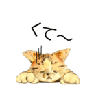 リアル風猫−気持ちを伝える①（個別スタンプ：6）
