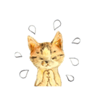 リアル風猫−気持ちを伝える①（個別スタンプ：14）