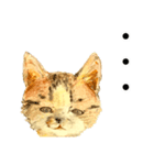 リアル風猫−気持ちを伝える①（個別スタンプ：16）