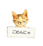 リアル風猫−気持ちを伝える①（個別スタンプ：19）