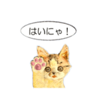 リアル風猫−気持ちを伝える①（個別スタンプ：20）