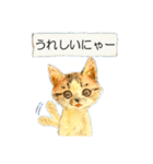 リアル風猫−気持ちを伝える①（個別スタンプ：22）