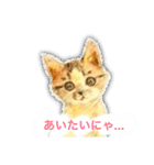 リアル風猫−気持ちを伝える①（個別スタンプ：26）
