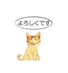 リアル風猫−気持ちを伝える①（個別スタンプ：29）
