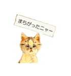 リアル風猫−気持ちを伝える①（個別スタンプ：32）