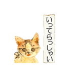 リアル風猫−気持ちを伝える①（個別スタンプ：38）