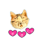 リアル風猫−気持ちを伝える①（個別スタンプ：39）